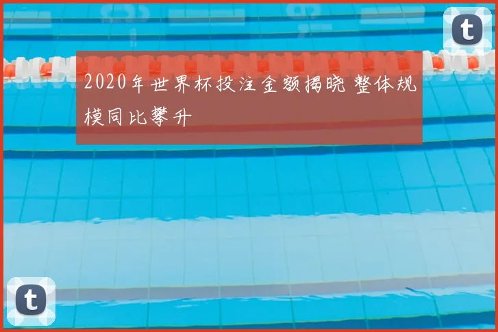 2020年世界杯投注金额揭晓 整体规模同比攀升