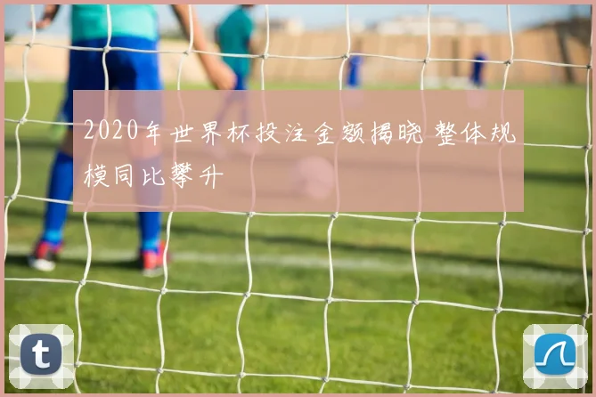 2020年世界杯投注金额揭晓 整体规模同比攀升
